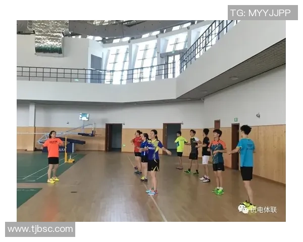 杭州羽毛球队个人能力分析与发展策略探讨 杭州羽毛球队个人能力分析与发展策略探讨