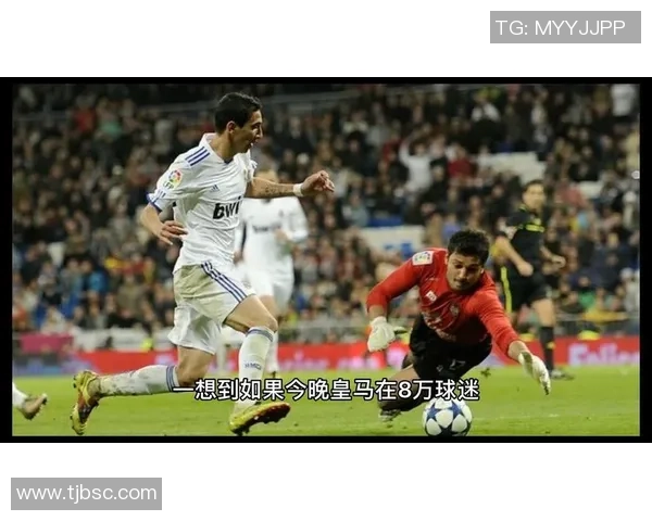 北京乒乓球队灵活性引发热议球迷与专家观点碰撞激烈